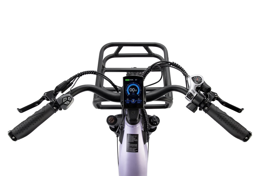 cheap FD Eden Step-thru Electric Bike of UL Certified