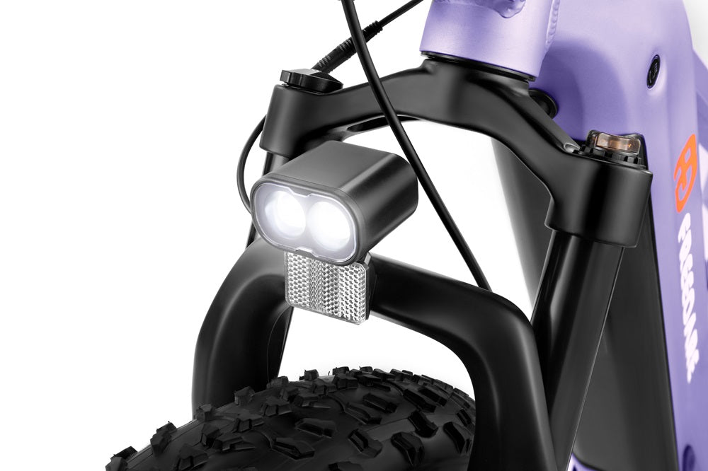 best FD Eden Step-thru Electric Bike of UL Certified