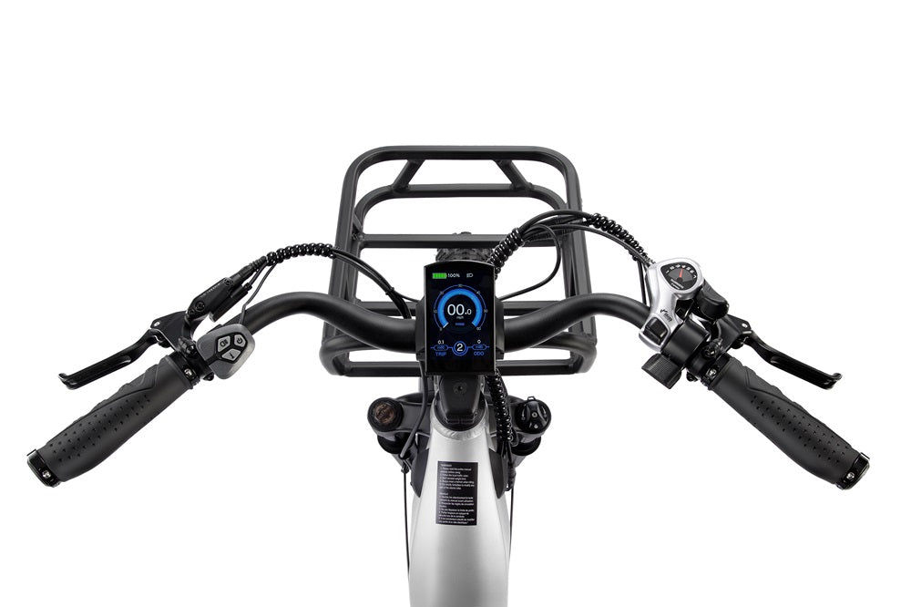 FD Eden Step-thru Electric Bike of UL Certified for sale