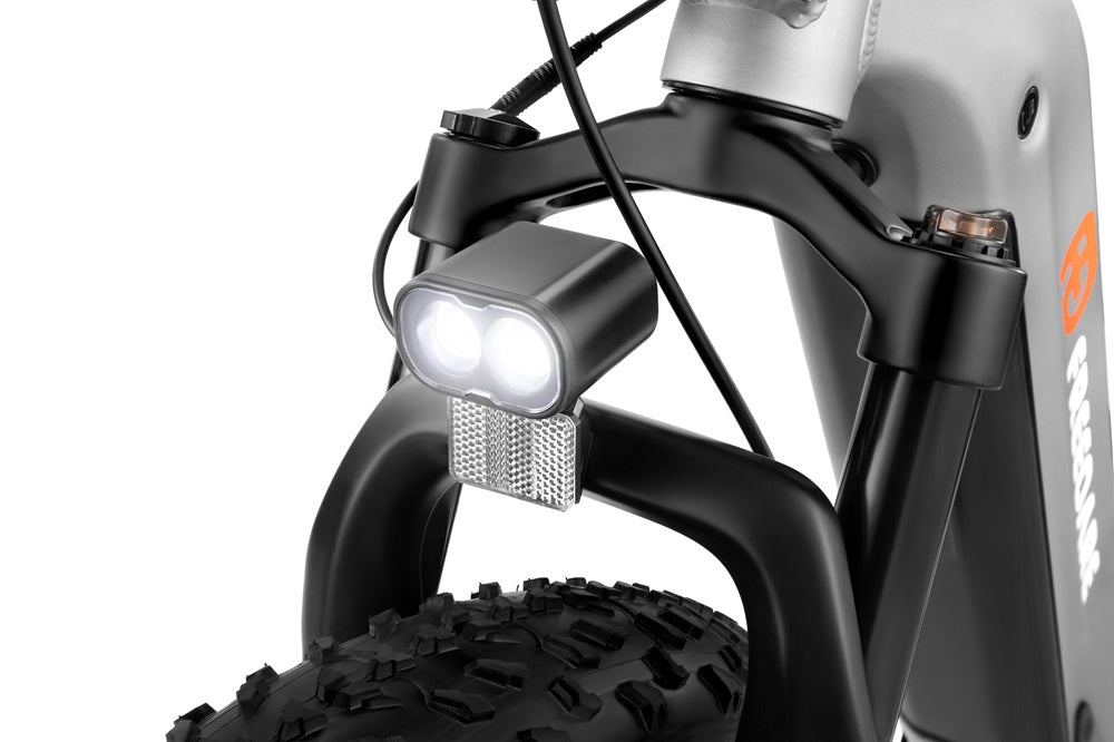 FD Eden Step-thru Electric Bike of UL Certified