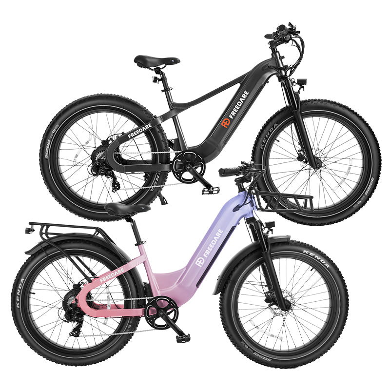 FD Bike Bundle Saiga Eden Fat Tire Electric Bike With Free Gift