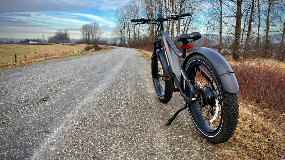 Top Four Reasons Why U Should Buy the Freedare Smart E-bike