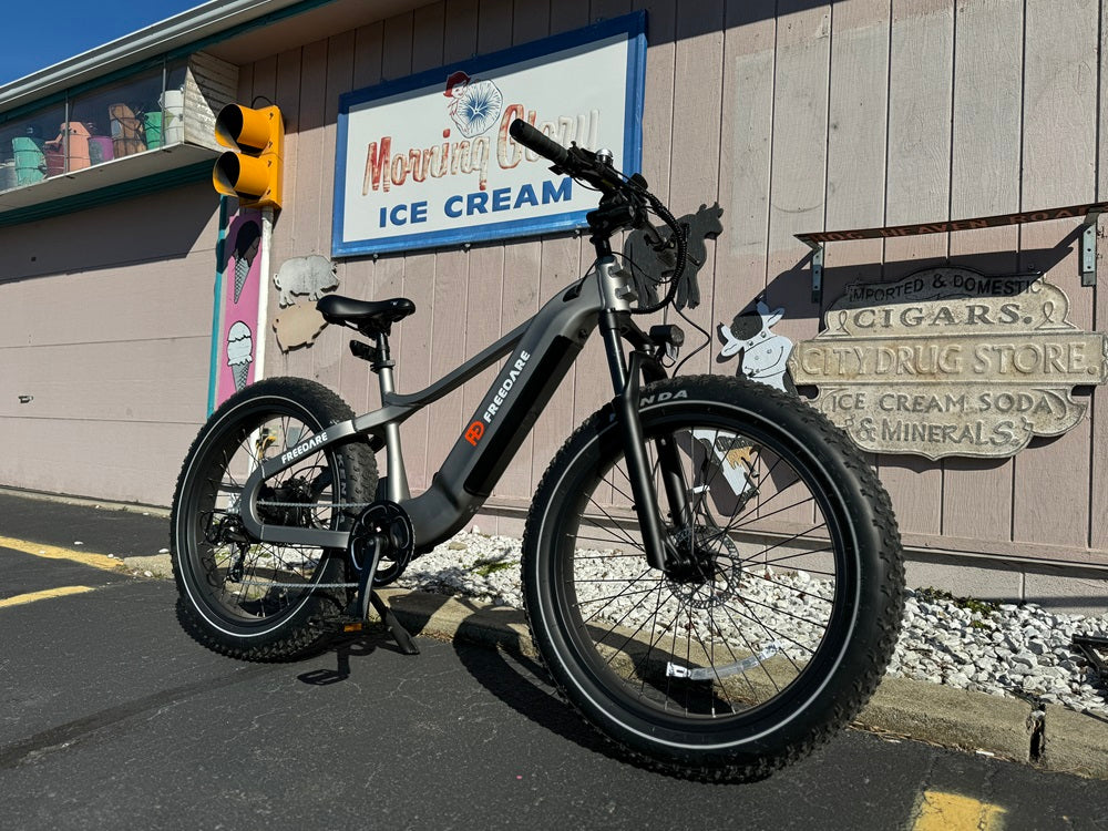 Freedare Saiga Fat tire electric bike