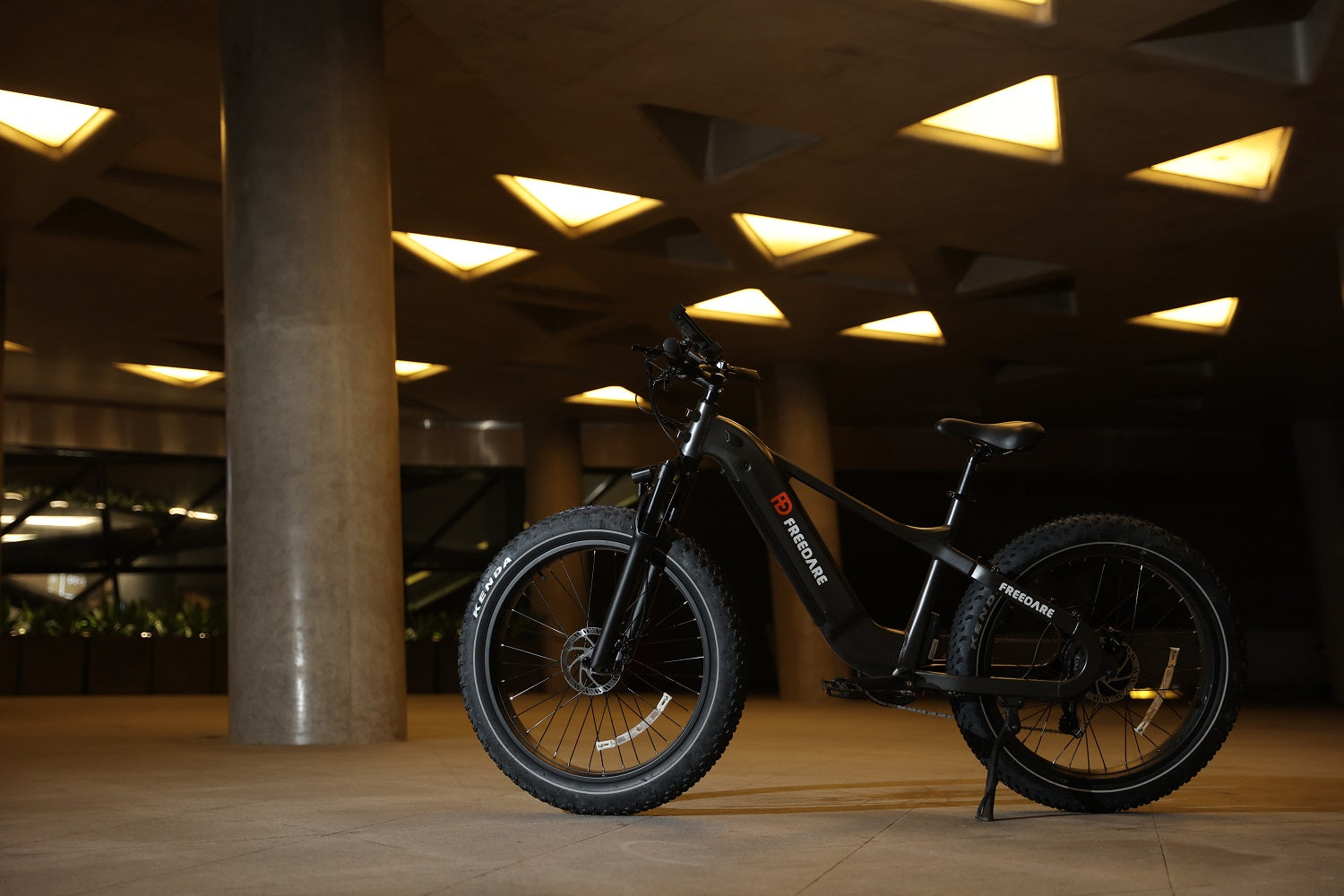 Freedare electric bike the smart fat tire ebike