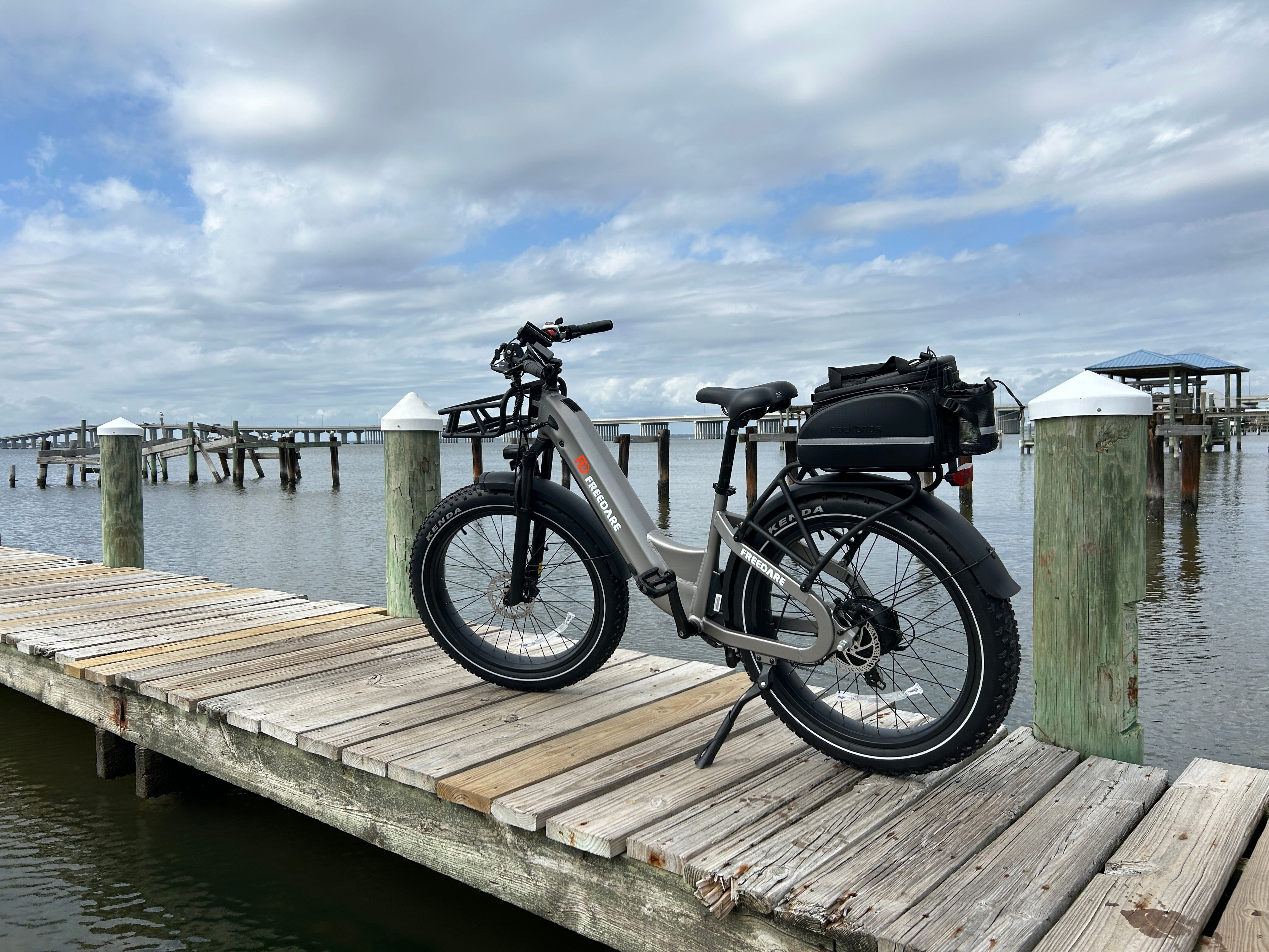 Freedare fat tire electric bike for adult