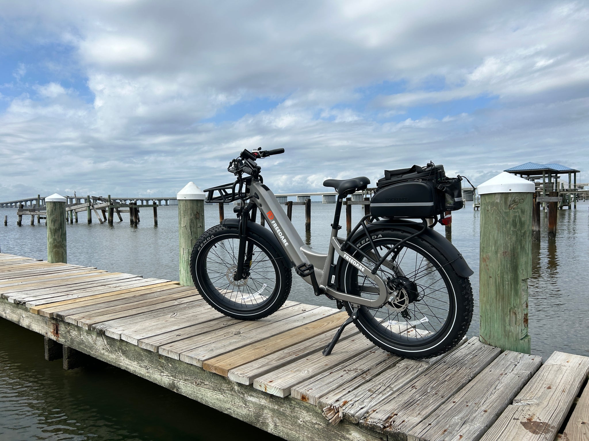 Freedare fat tire electric bike for adult