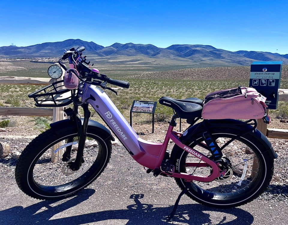Top Tips for Investing in an Extra Saddle on Your Adult Electric Bike