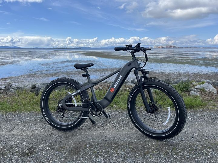 Freedare Saiga MTB Fat tire electric bike for Adult