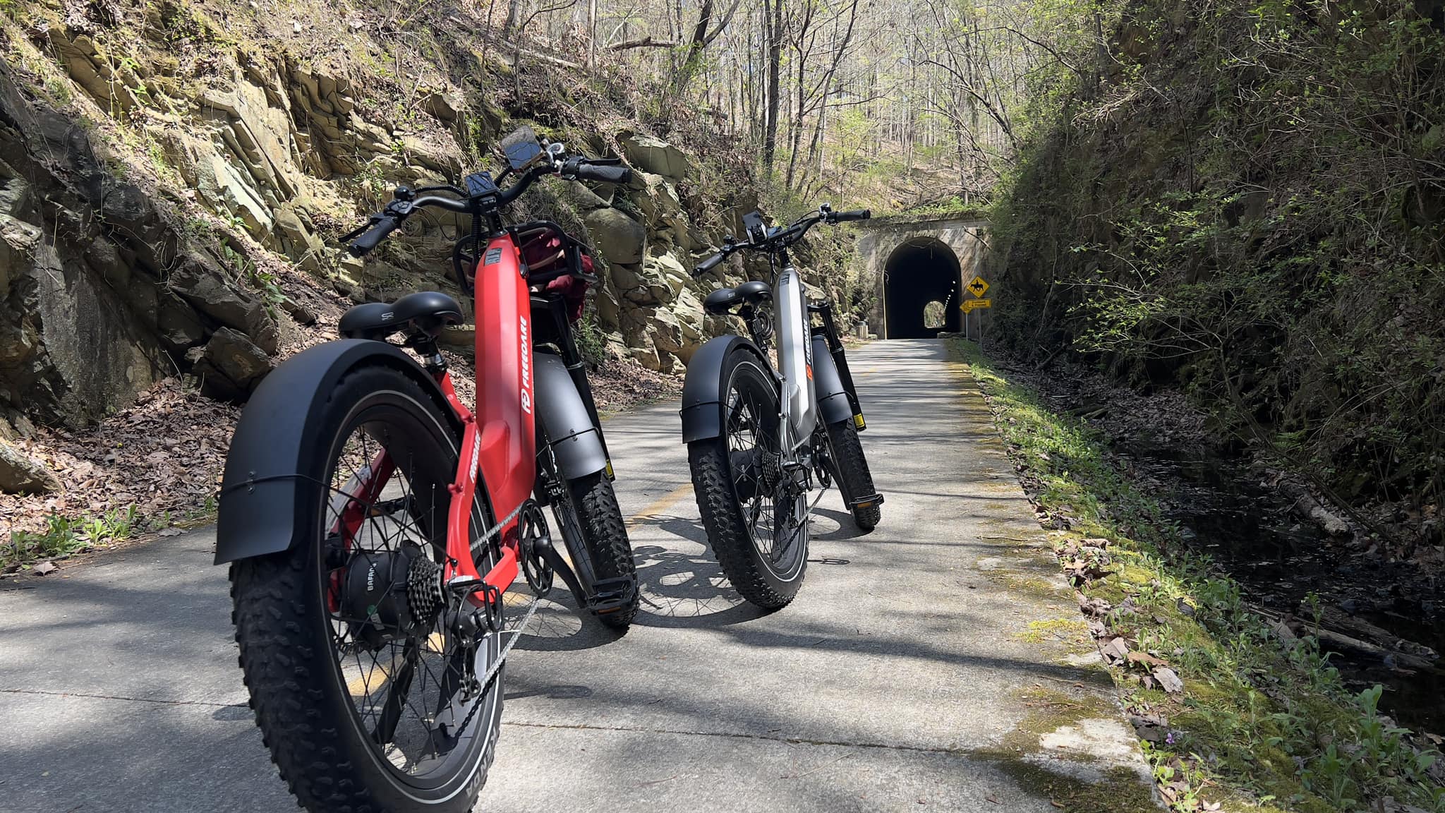 The Good Quality and Affordable eBikes of 2024 You Cannot Miss!