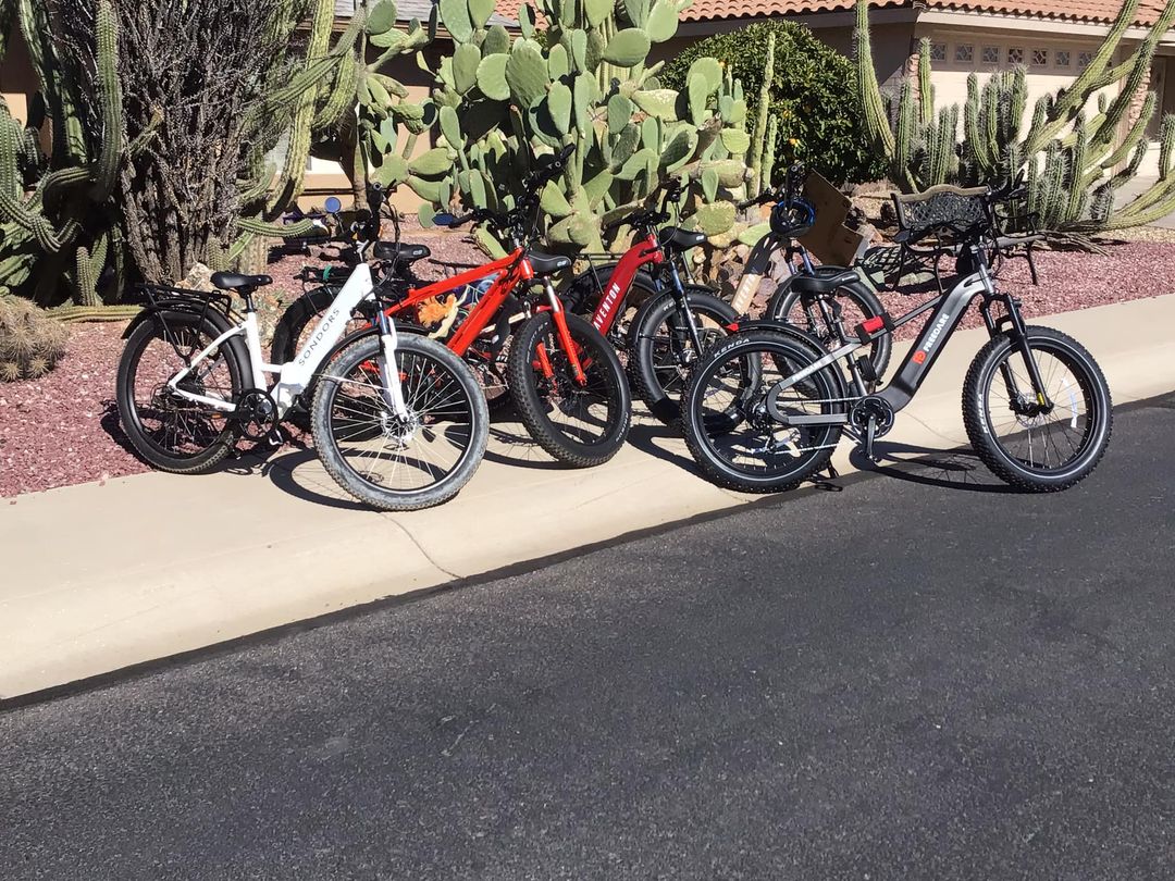 Freedare Fat Tire Electric Bike 