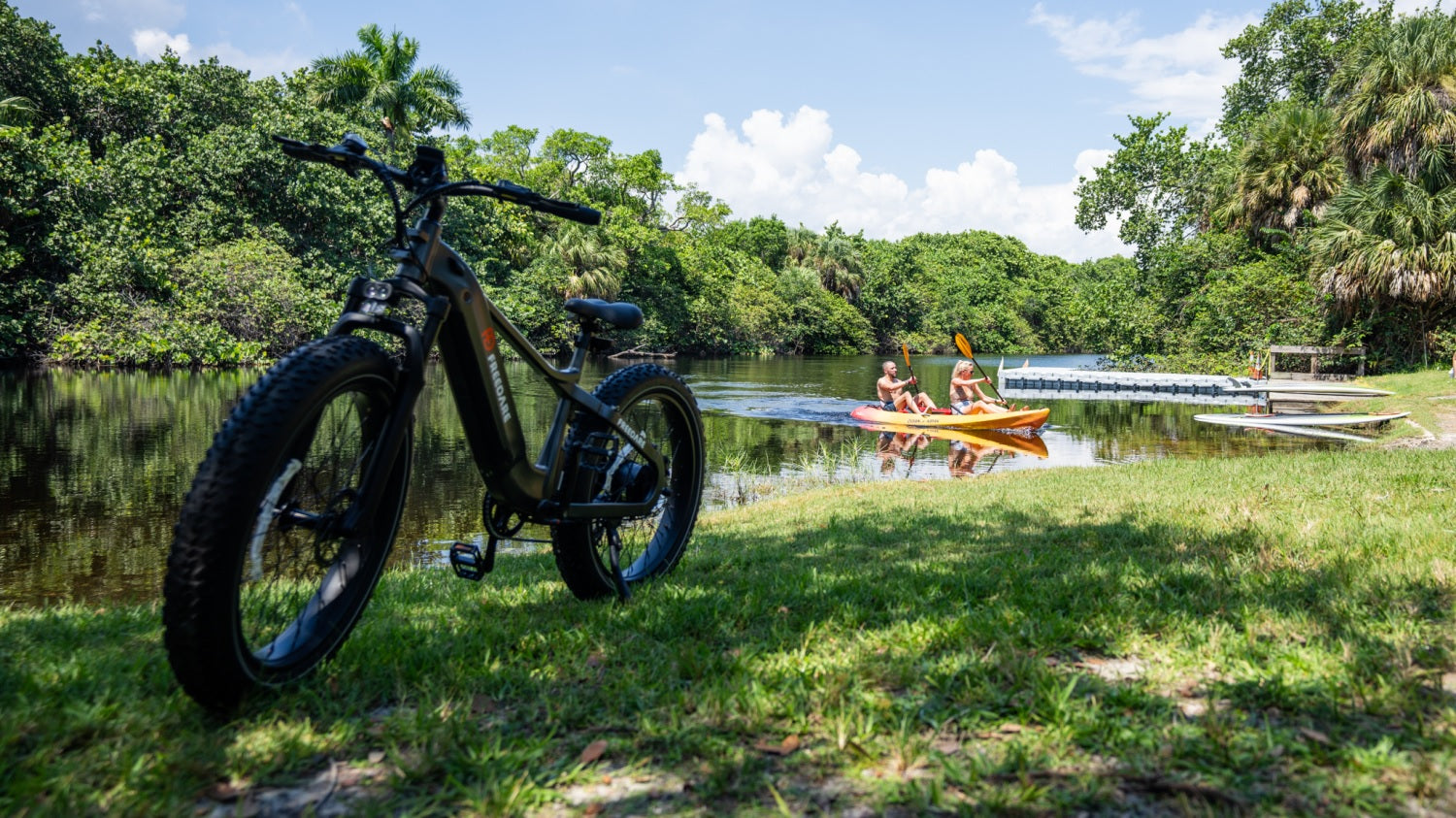 FD EBIKE