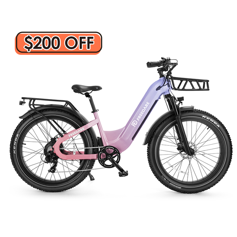 basket for electric bike eden with 300 discount