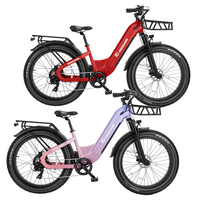 FD Bike Bundle丨Eden Fat Tire Electric Bike