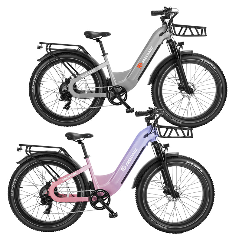 FD Bike Bundle丨Eden Fat Tire Electric Bike