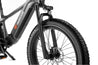 Freedare Saiga electric bike 750 Watt