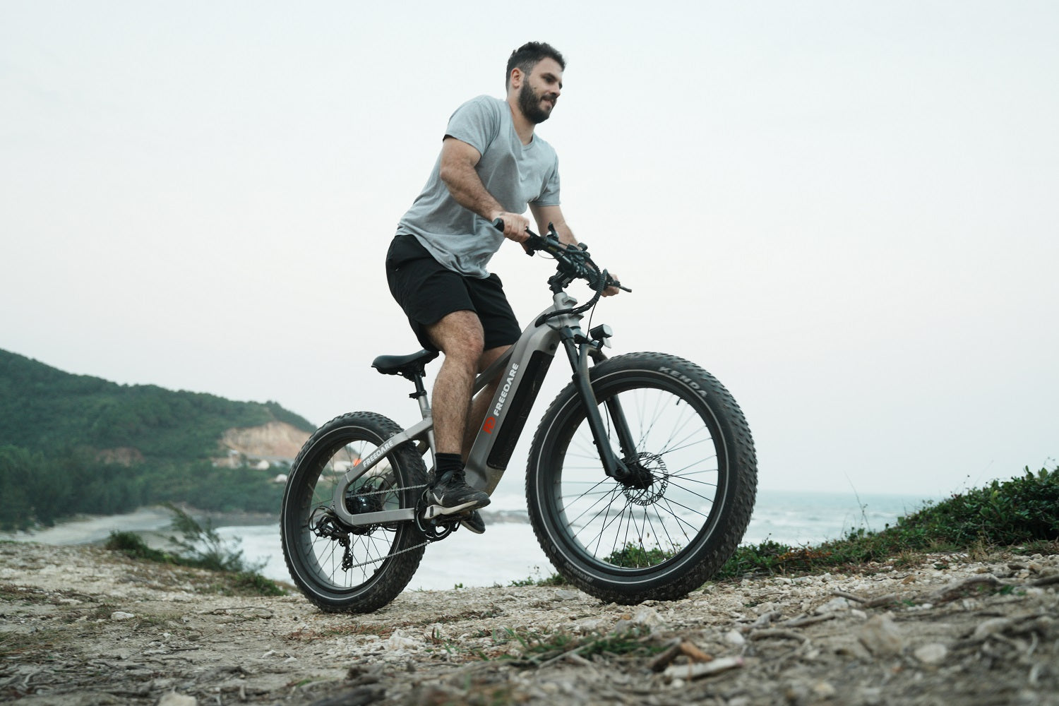 Freedare Saiga MTB Electric Bike