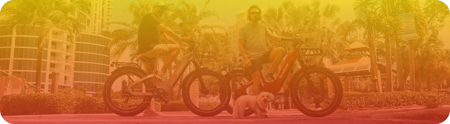 electric bike with baby and dog seat banner