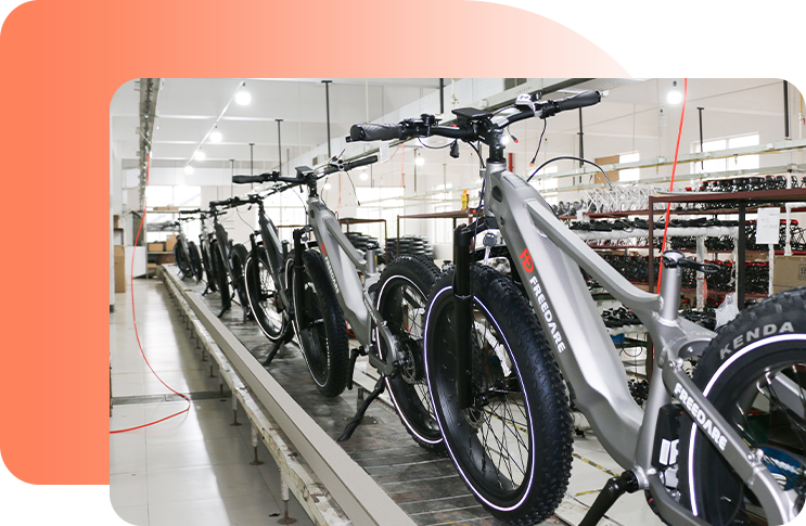 Freedare Electric Bike factory