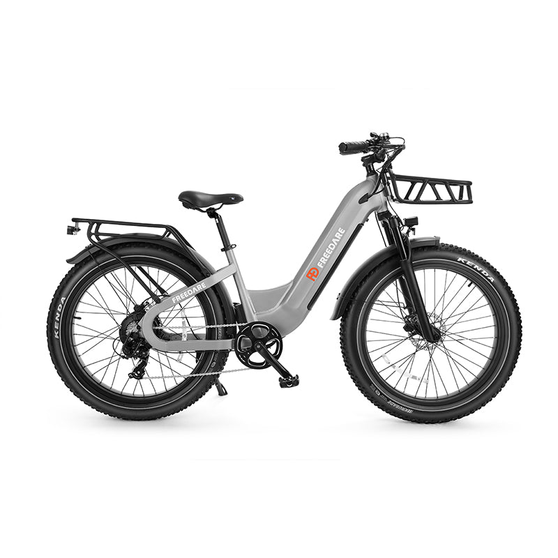 long range electric bike