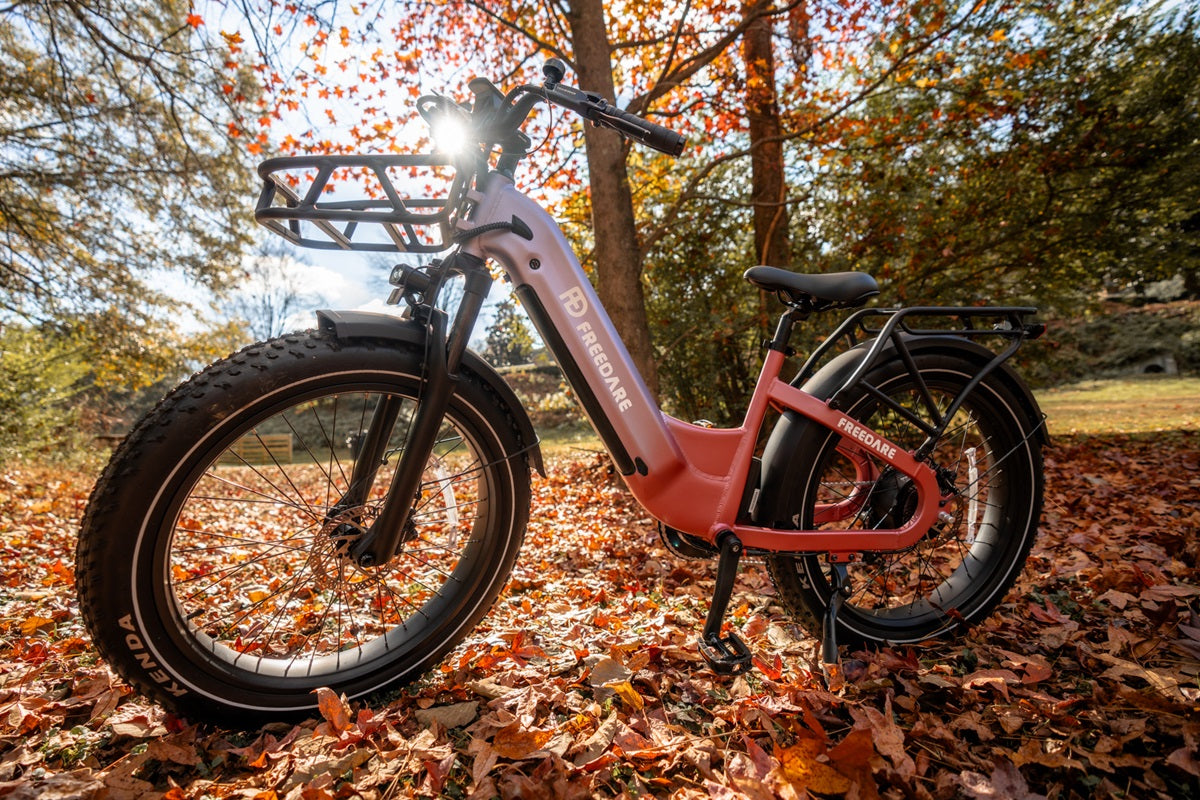 cheap electric bikes for adults banner