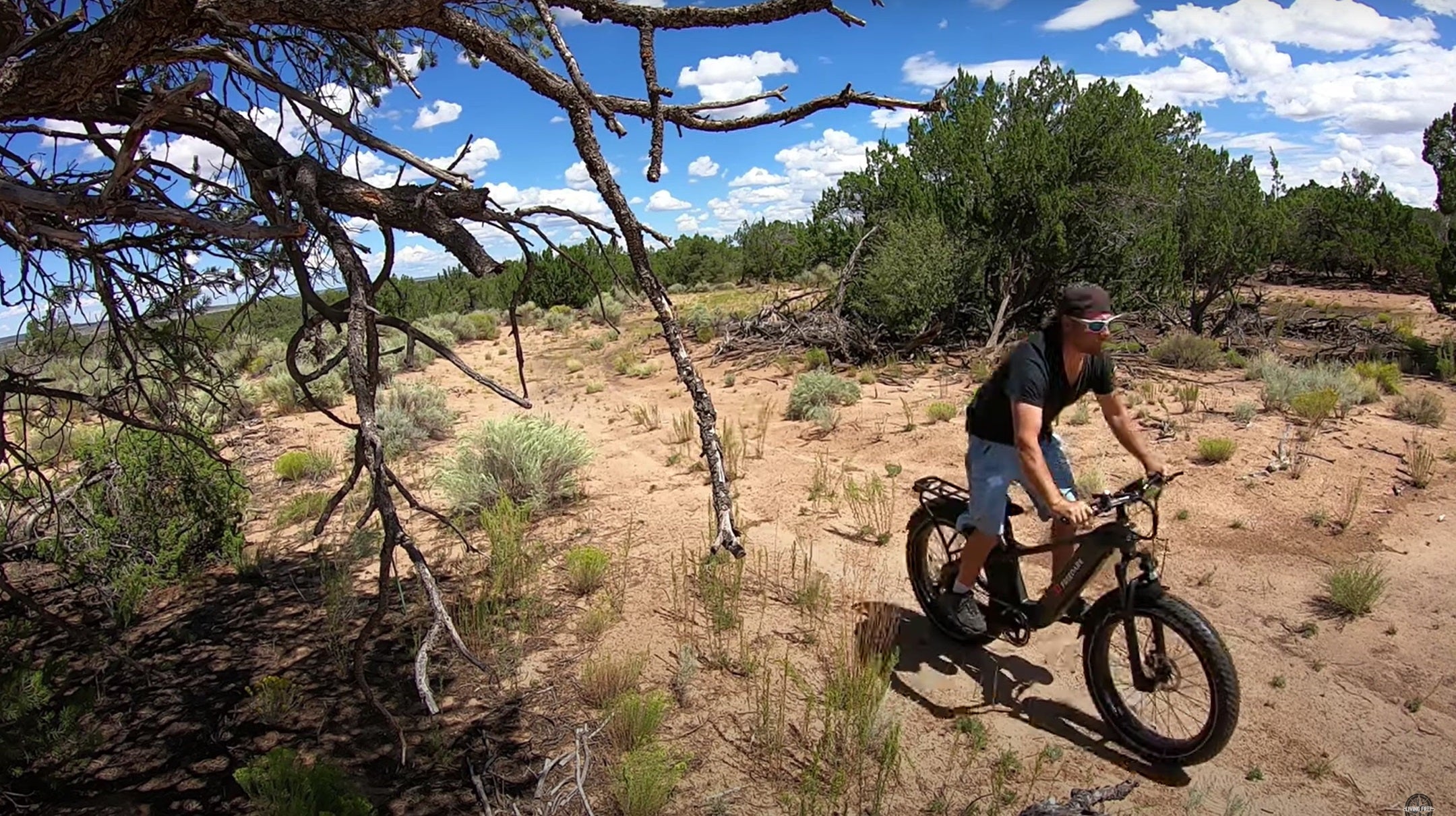 26 inch fat tire bike for sale