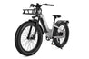 Freedare Eden Smart Electric Bike with APP control