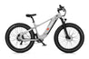 Freedare Saiga Smart Fat Tire Electric Bike with GPS