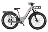 Freedare Eden Step-thru Electric Bike Fat Tire Ebike 750watt
